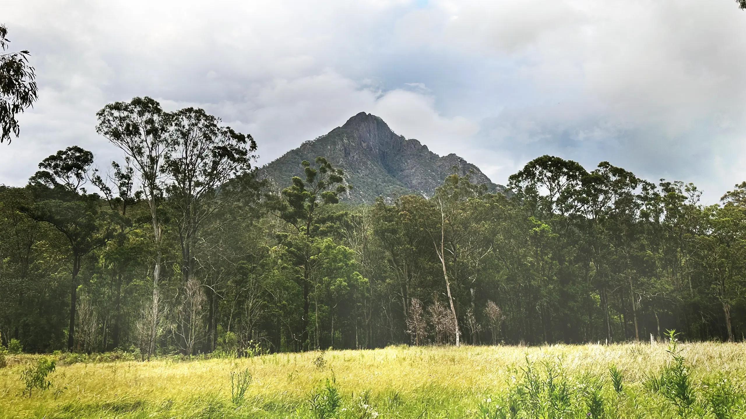 Mt Barney mountain - hiking mt barney in Queensland