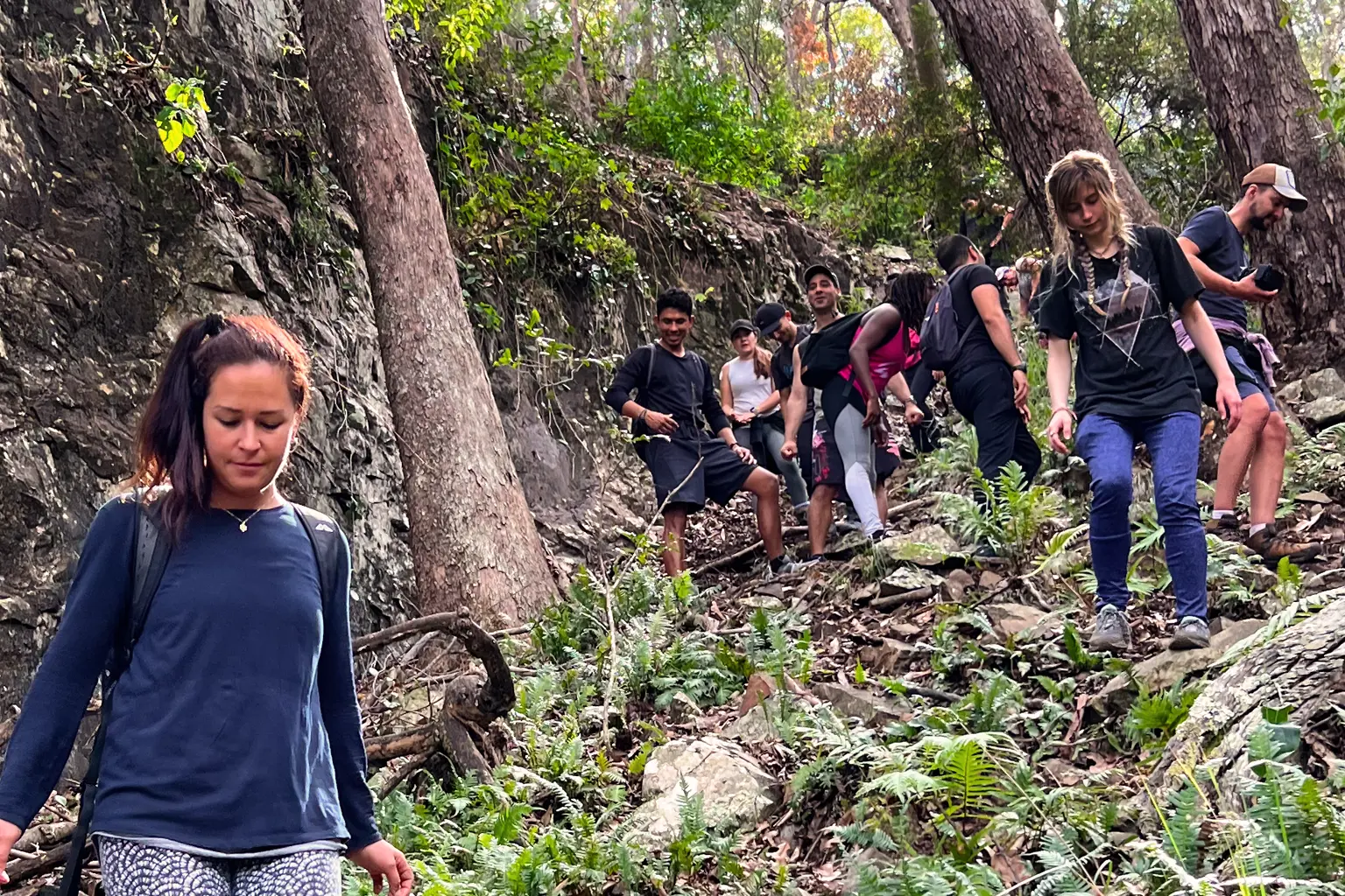 mount Greville hiking down