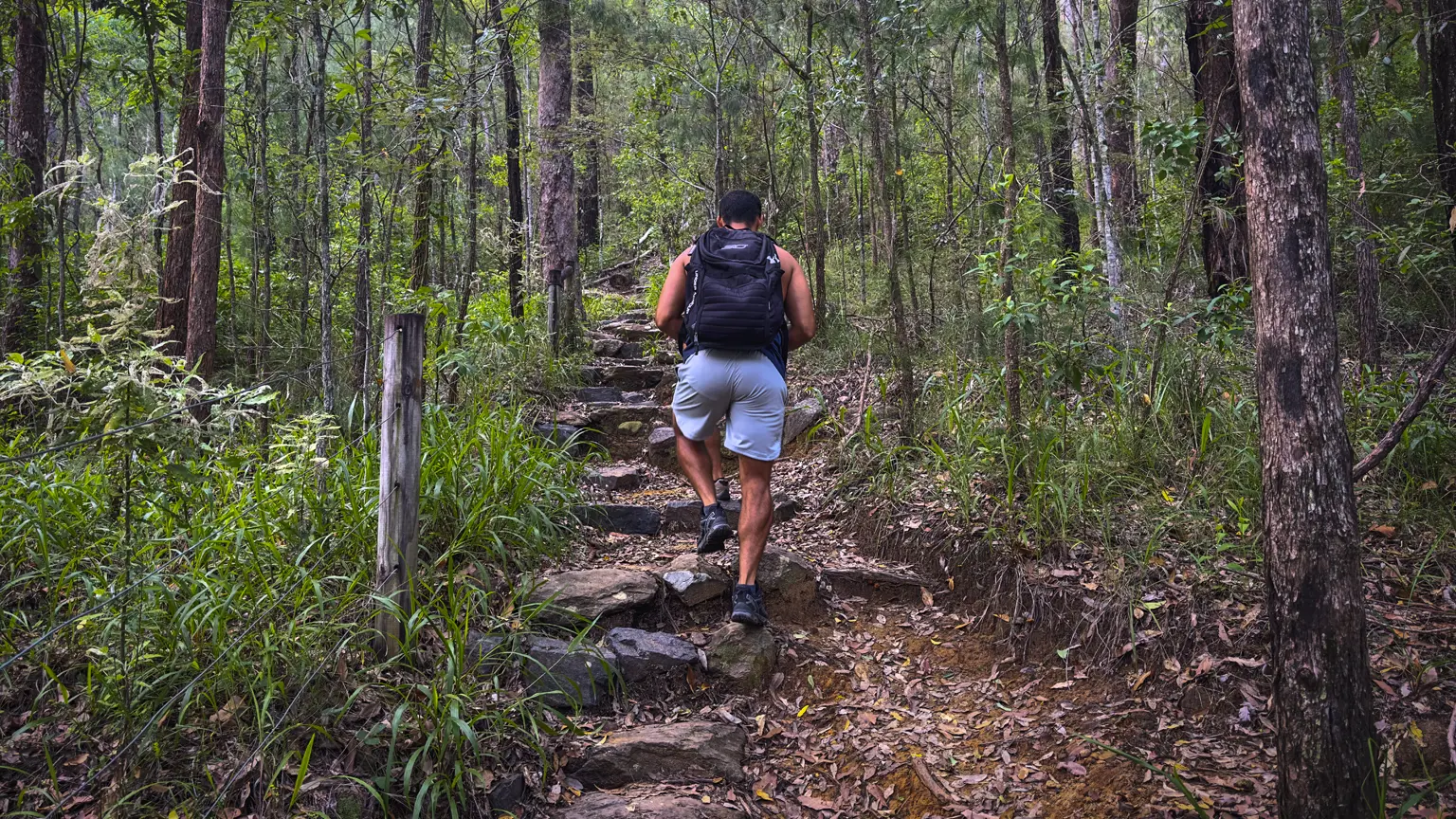 mount-beerwah track